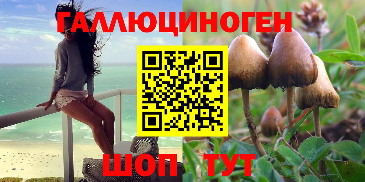 Псилоцибиновые грибы GOLDEN TEACHER Белово