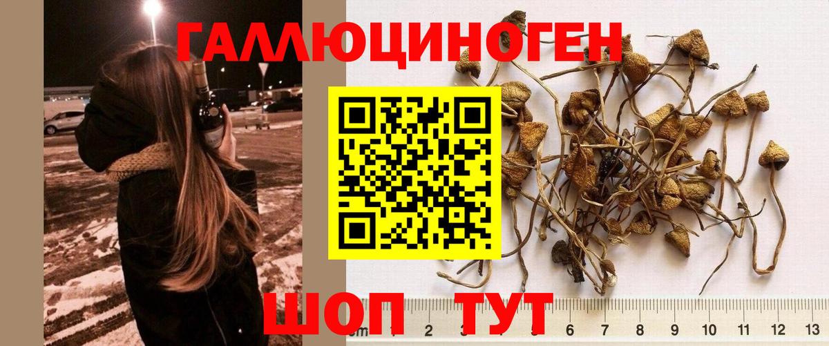 Белово  Псилоцибиновые грибы Cubensis  Псилоцибиновые грибы ЛСД  Вход с VPN 