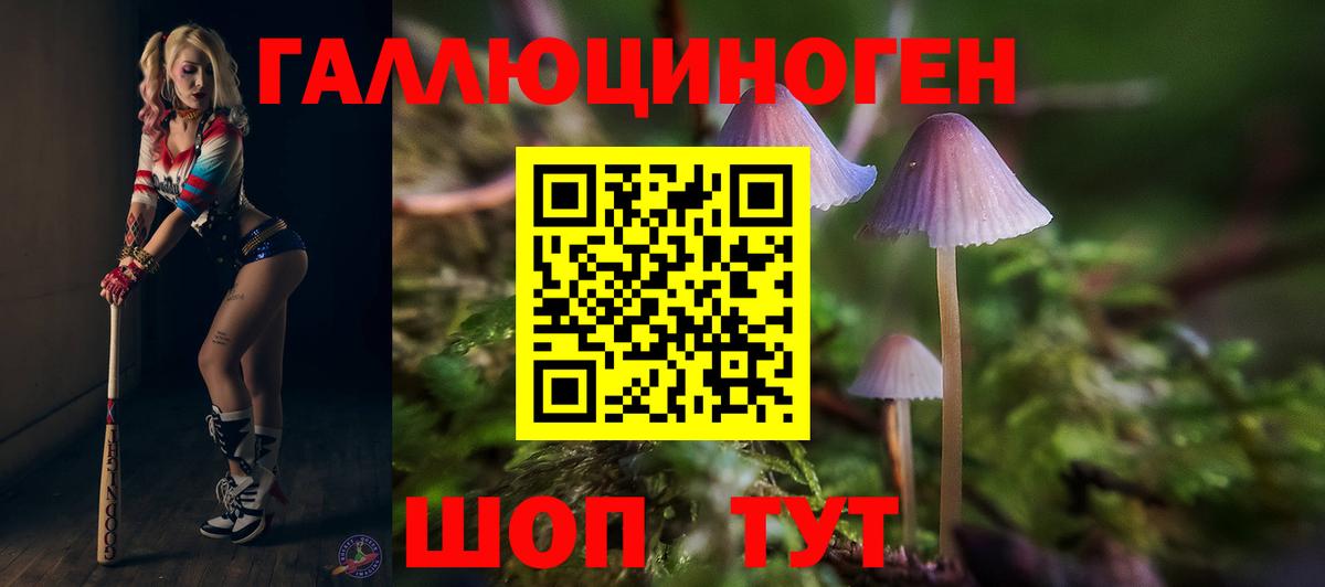 Галлюциногенные грибы MAGIC MUSHROOMS Белово