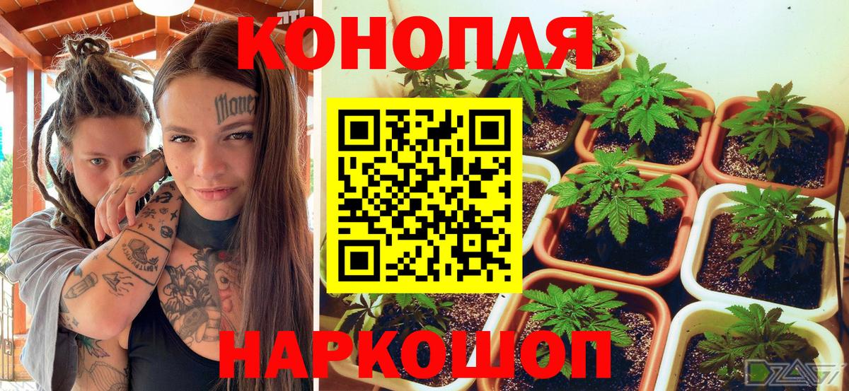 Бошки марихуана THC 21% Белово